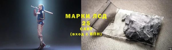 ПСИЛОЦИБИНОВЫЕ ГРИБЫ Волоколамск