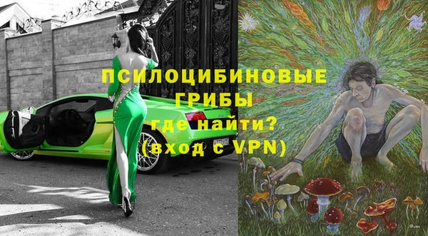 ПСИЛОЦИБИНОВЫЕ ГРИБЫ Волоколамск