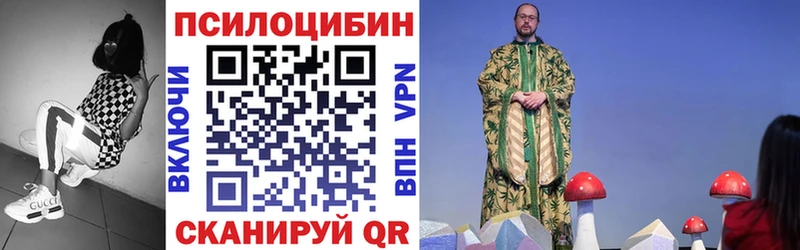 Купить Мосальск Галлюциногенные грибы мицелий