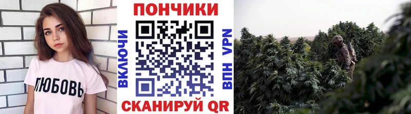 Купить где  Мосальск  Бошки Шишки White Widow 